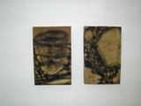 GALERIE FORUM | Eduard Bousrd Bangerl